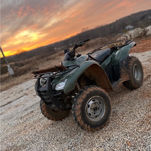 Meet your Posher, Rhett - Picture 1 of 1